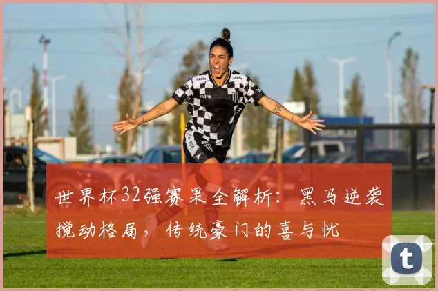 世界杯32强赛果全解析：黑马逆袭搅动格局，传统豪门的喜与忧
